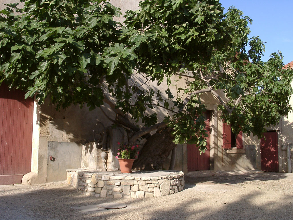 Chateau de nissan #10